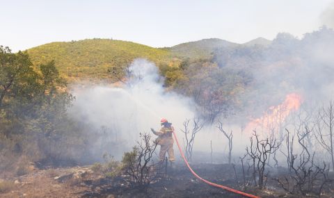 Въздухът в Гърция ще е токсичен дълго след пожарите - 1