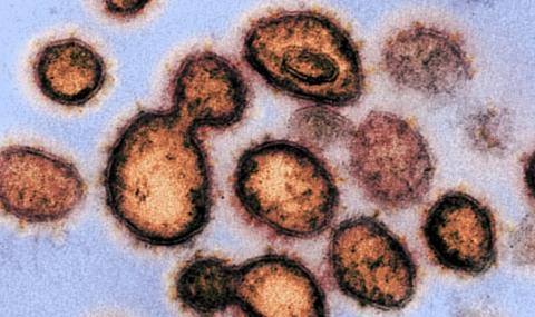 Вирусът COVID-19 е регистриран в над 60 държави - 1