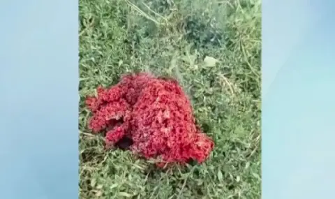 БАН разкри откъде е дошло горещото тяло в Якоруда - 1