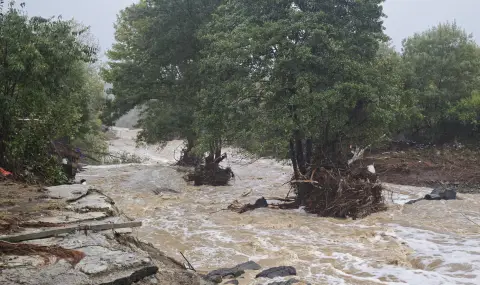 Не се знае кога и дали ще съборят незаконните постройки в "Елените" - 1