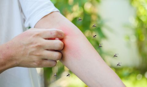 За хората от коя кръвна група са най-опасни комарите? - 1