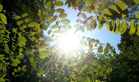 Седмицата започва със слънце - 1