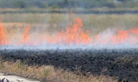 Атанасовското езеро отново пламна - 1
