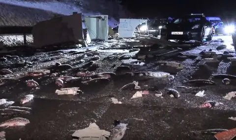 7 tons of live trout spilled onto the road after an accident in Germany  - 1