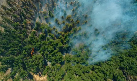 Record-high temperatures in Turkey led to a five-fold increase in forest fires  - 1