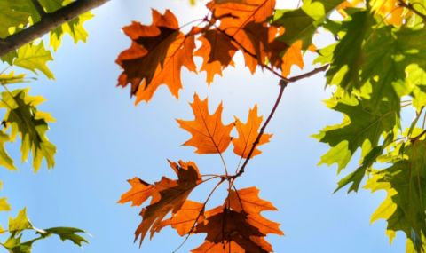 Времето днес, прогноза за петък, 10 ноември: Слънчево, облачността се увеличава от югозапад - 1