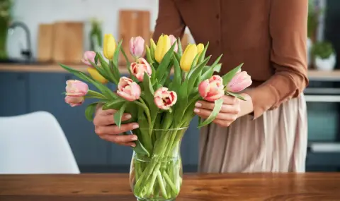 5 лесни трика как да запазим лалетата свежи по-дълго - 1