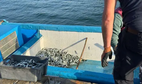 Българската риба изчезва от пазара - 1