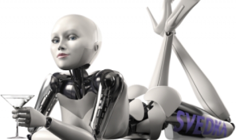 Учени предвиждат: Публичен дом с роботи до 2050-а - 1