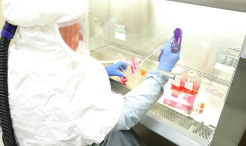 Започват тестове на ваксина за коронавирус в САЩ - 1