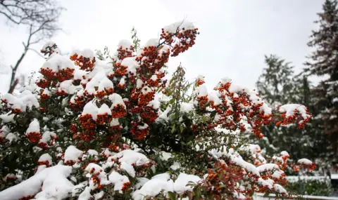 Cyclone may block half of Bulgaria  - 1