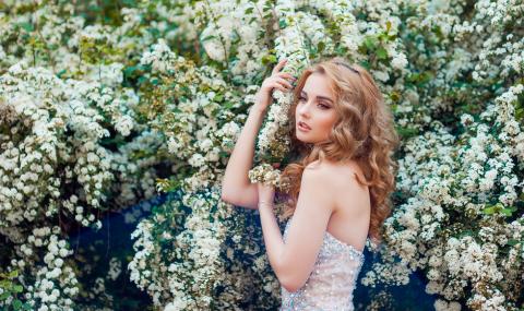 Притча за брезата - 1