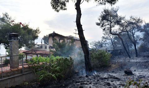 Пожар изпепели 20 000 декара в Гърция - 1