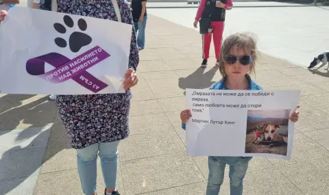 Protest for harsher punishment for two people who filmed and sold videos of animal abuse  - 1