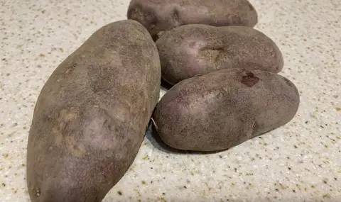 Potato crisis in Russia! Prices have already tripled, neighbors are helping with increased imports  - 1