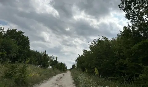 Пети ден издирват черния леопард в Шуменско - 1