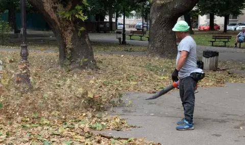 Най-малко четири сигнала за паднали дървета заради силния вятър в София - 1