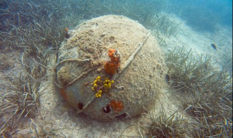 Бомба със закъснител цъка на морското дъно  - 1