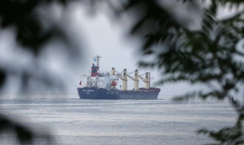 Украйна потвърди за възобновените проверки на кораби по зърнената сделка - 1