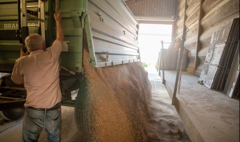 Украйна възнамерява да изнесе 280 000 тона храни за Световната продоволствена програма - 1