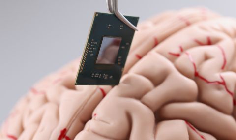 Илон Мъск иска да постави компютърен чип в мозъка ни - 1