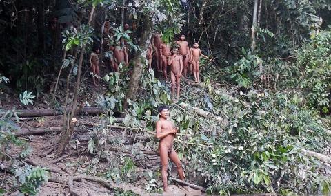 Тревога! Амазонската джунгла се топи - 1