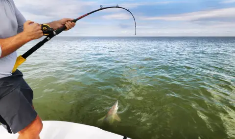 Бедни рибари хванаха 200-килограмов звяр, фармацевти ги позлатиха за улова - 1