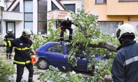 Двама души пострадаха при бурята във Враца - 1