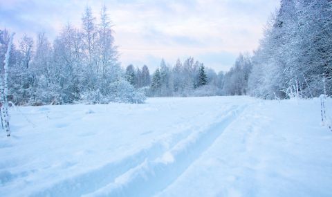 Прогнозират сибирски студ и обилен сняг през декември - 1