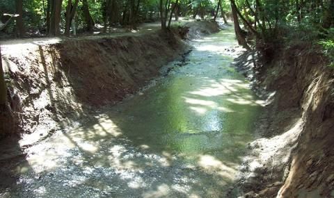 Чистят 120 км речни участъци в Столичната община с 2,65 млн. лева - 1