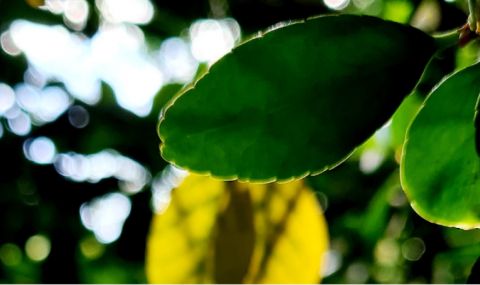 Слънчева събота - 1