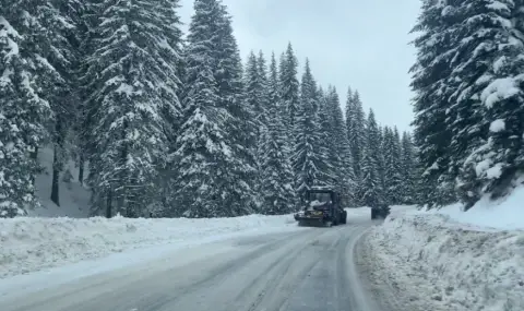 Със сняг осъмнаха проходите в Смолянско - 1