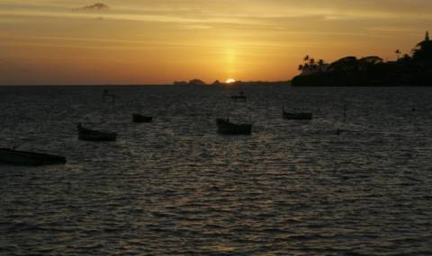 Слънце в неделя - 1