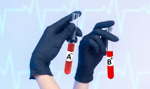Кръвната група разкрива какъв е типът на характера ви - 1