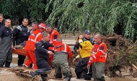 В Каравелово не вярват, че не е имало незаконна сеч в района - 1