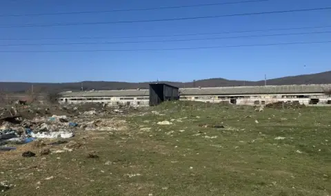 Изнасят нови данни за мащабния канал за контрабандно месо