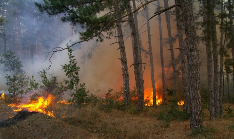 Военни предизвикаха огромен пожар над Казанлък - Обновена в 22.58 - 1