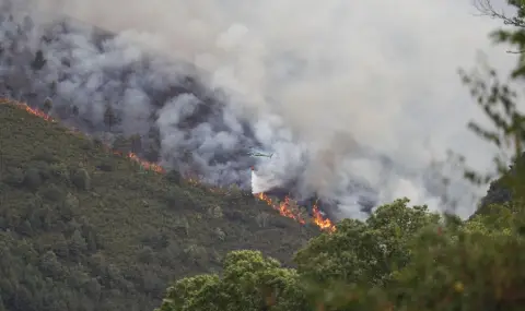 Пожари нанесоха огромни щети на селското стопанство на Испания - 1
