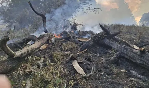 Рила продължава да гори - 1