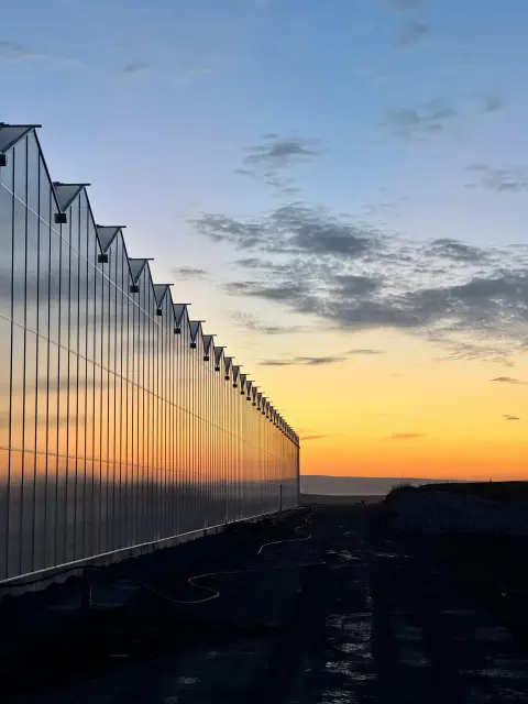 Сандвич панели за модерно строителство: Какво да знаете преди покупка в Bazar.bg - 1