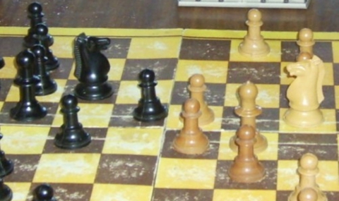 Българче на 9 стана световен шампион по шахмат - 1