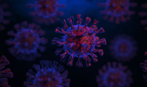 Нови разкрития водят до съмнения за изкуствен произход на вируса - 1