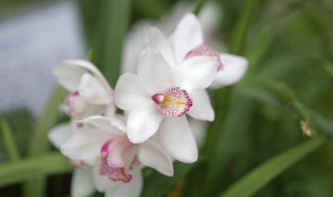 Прогноза за времето днес, 8 март: Слънчево и топло, в планините ветровито - 1