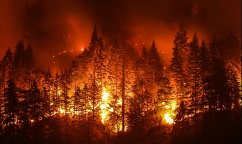 Огнеборци очакват разрастване на горските пожари в Аризона  - 1