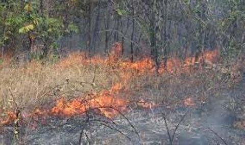 Потушен е пожарът край Оризари, овладян е огънят в Централен Балкан - 1