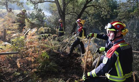 Пожарникарите спряха разпространението на чудовищен пожар в Югозападна Франция - 1
