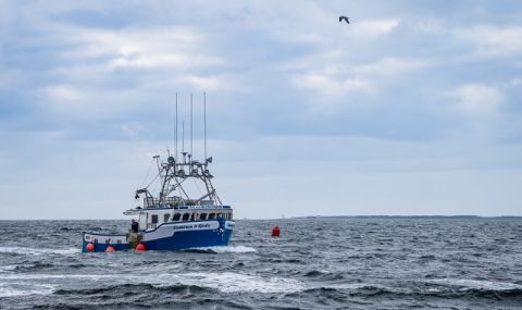 Спор! Франция заплаши Великобритания с два кръга санкции заради риболовния спор - 1