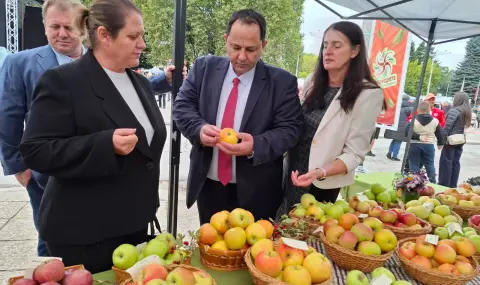 Иван Капитанов: През следващата седмица започва изплащането на оставащите компенсации за измръзналите череши, вишни и кайсии - 1