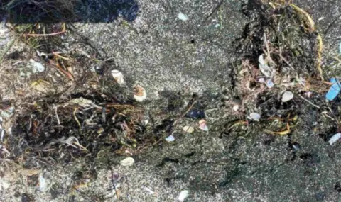 Все още не са ясни източникът и съдържанието на черните мазни петна по плажа в Поморие - 1