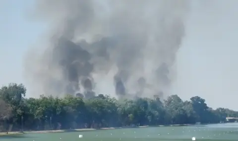 Пожар гори край Гребната база в Пловдив - 1